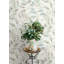 Papier peint Pinnate Mint Leaves-223838521