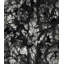 Erratic Print by Paul Ngo-26676690-26676692