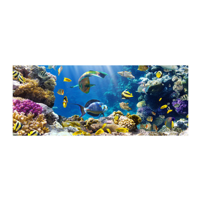 Coral Reef - No Frame Print on Canvas
