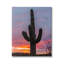 Looming Desert Cactus Silhouette by Jeff Poe Photography - Print on Canvas-762892292-762892295