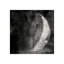 Tuxedo Moon IV Print by Chelsea Art Studio-26928127-26928128