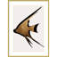 «Beige Fish» par Eins Kubistika, reproduction d'art encadrée sur bois-112833681