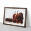Highland Cow in Scotland in Abstract - Picture Frame Painting Print-55763249-55763250