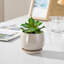 Ceramic Pot Planter-534234026-534234031