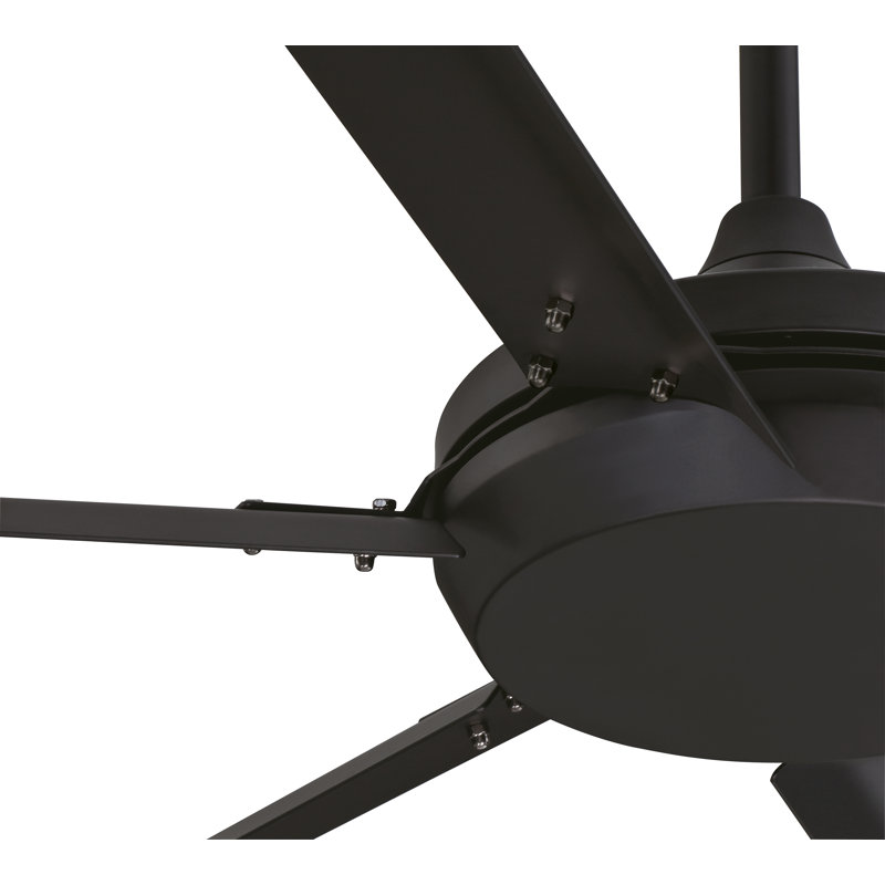 Rachna Ceiling Fan with Light Kit