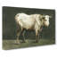 Beauty Of A Bull by Jean Bernard - Wrapped Canvas-55363523
