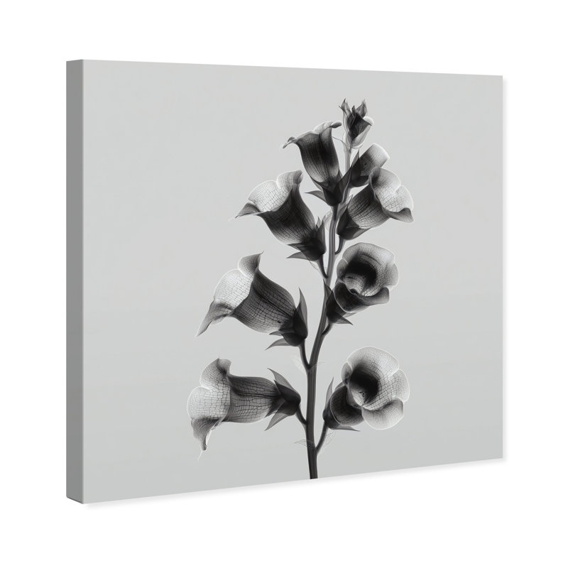 Ossified Petals I Print by Oliver Gal, 40"H x 40"W, Gallery Wrapped