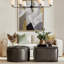 Ginevra 6 - Light Chandelier