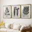 Blossfeldt Botanical I - reproduction sur mesure encadrée de qualité supérieure - 3 pièces-127340674-127340672