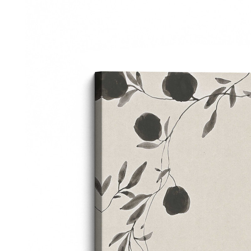 «Black Ink Botanicals», ensemble de 2, H 18 po x l 24 po, Toile tendue