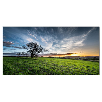 Green Grass Field in Sardinia - Reproduction de photo sur toile tendue