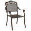 Patio Dining Armchair-1952699247