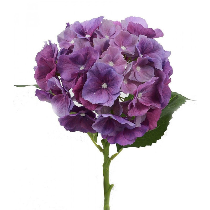 Fleur artificielle d'hortensia Natural Touch, Mauve