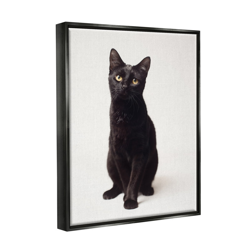 «Cute Cat Black Expressive Eyes Pet Portrait», art mural par Marika Moffit, Cadre flottant noir de jais