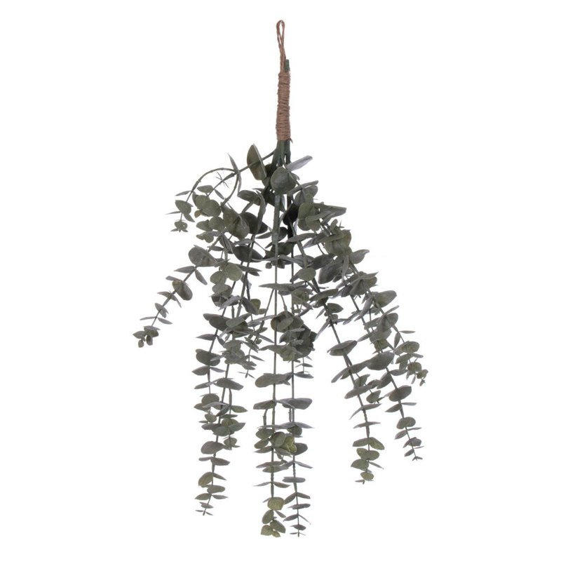 22 plantes