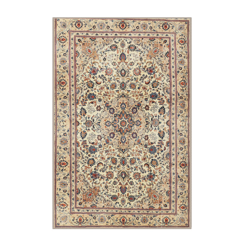 Aneira Oriental Indoor Rug, Rectangle 6' x 9'