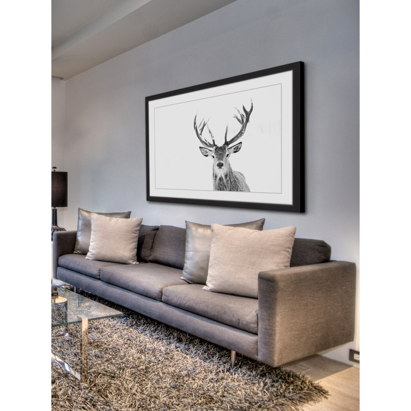 «Majestic Antler» par Marmont Hill - reproduction de photo sur papier encadrée, H 16 po x l 24 po x p 1,5 po, Cadre noir