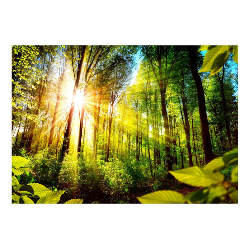 Murale cachette forêt Evaline, L 68 po x l 96 po