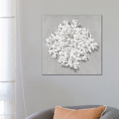 Coral On Gray II by Caroline Kelly - Wrapped Canvas Print