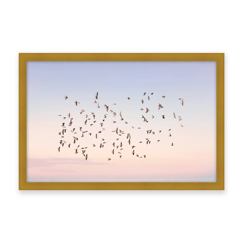 Nature Inspired Sunset Flight by  - Picture Frame Photograph on Paper, Framed Canvas, Brown, 32" H x 48" W x 2.375" D