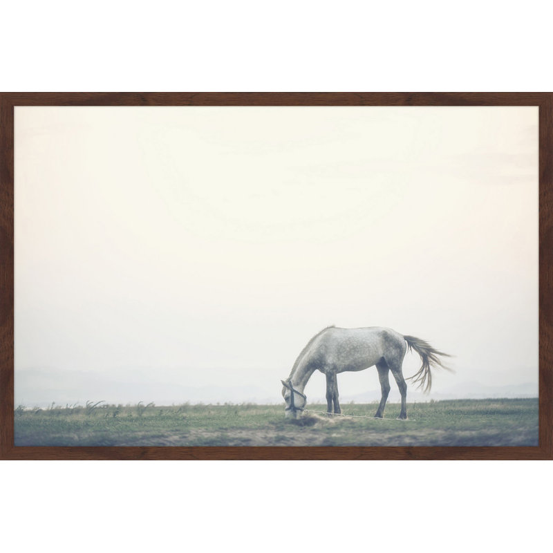 Parvez Taj - Single Picture Frame Print, 41cm H x 61cm W x 3.81cm D