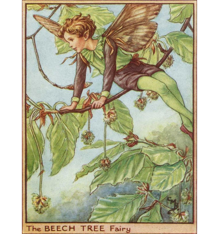 Art sur toile tendue avec toile de la galerie Trinx Vision Studio: The Beech Tree Fairy, H 24 po x l 19 po