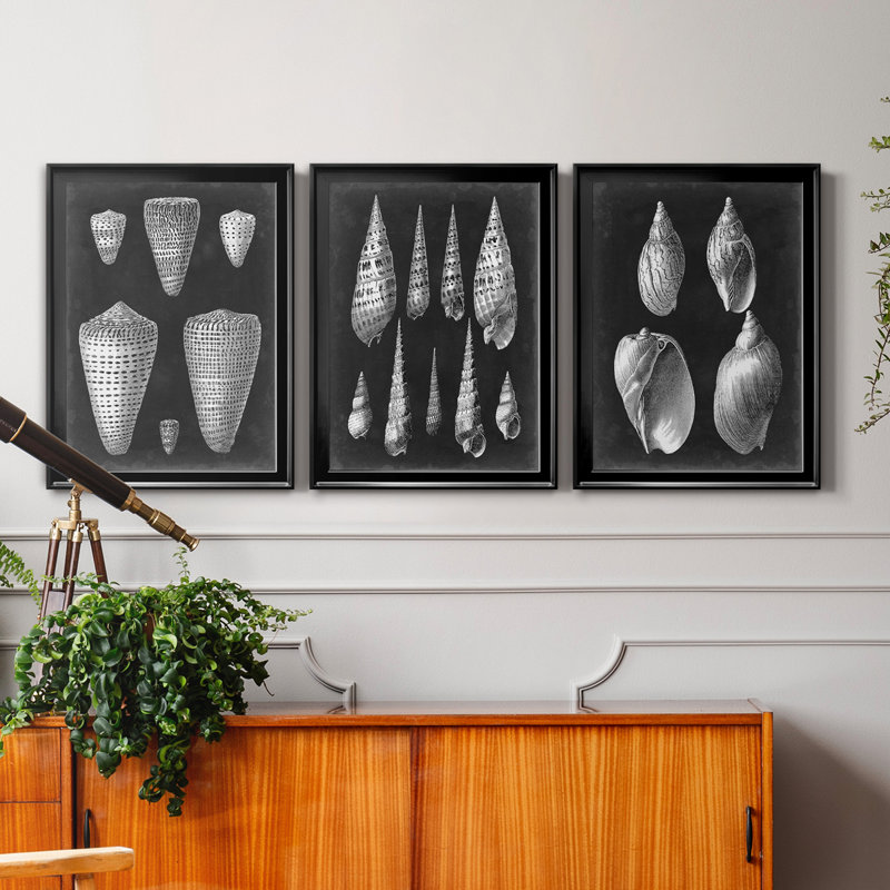 Alabaster Shells I - Ensemble de 3 peintures sur toile encadrées, Cadre noir, H 18,5 po x l 73,5 po x P 1,5 po