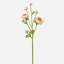 Ranunculus Faux Floral-1238556654