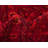 Amro Oriental Indoor Rug-1160682983