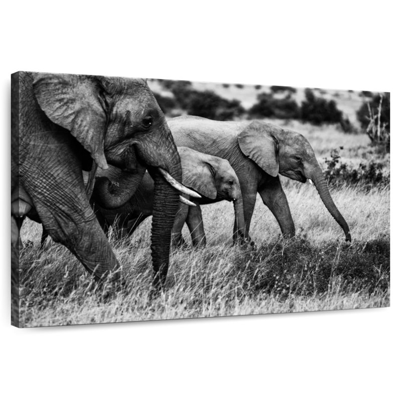 Elephant Family I, 20" H x 30" W