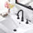 2-handle Bathroom Faucet with Drain Assembly-75202225