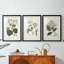 Antique Turpin Botanical IV - reproduction sur mesure encadrée de qualité supérieure - 3 pièces-1991838978-1991838977