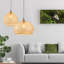 Luminaire suspendu 20 pouces 1 lumière Airy