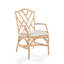 Chaise avec accoudoirs croisés en rotin de coton Alderson-21774511
