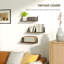 Alysiana Floating Shelf