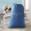 Cloud Supreme Express Inflatable 20" Air Mattress with Built in Pump
