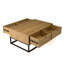 Clara-Marie Frame Coffee Table with Storage