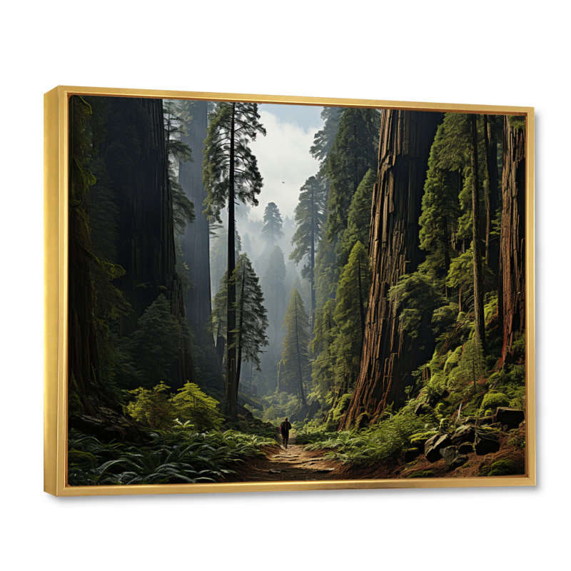 Betim " Sequoia And Kings Of Forest I ", Cadre flottant doré, H 34 po x l 44 po x P 1,5 po