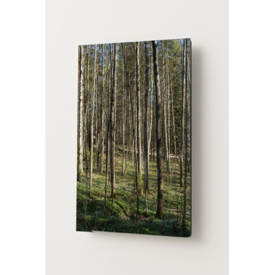 Forêt de bouleaux (1903) - Portrait, art mural en métal