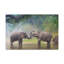 No Frame Print on Canvas-1944542063