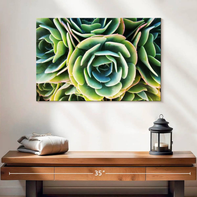 Rose succulente Harnek, H 16 po x l 24 po