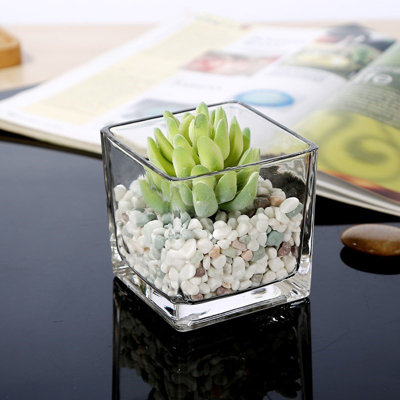 Rubalcava Glass Table Vase
