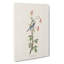 Black-Throated Blue Warbler Bird by John James Audubon - Wrapped Canvas-55370883