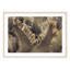 Prickly Pear Blossoms-644173330-644173335