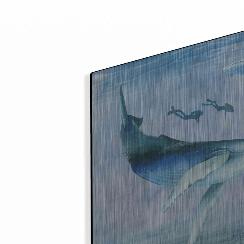 «Ocean Adventure Collection A» par Grace Popp, H 12 po x l 16 po