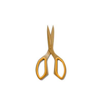The Golden Good Shears Kitchen Scissors