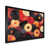 Black Picture Framed