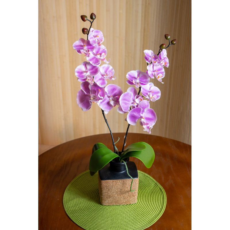 Orchid Arrangement in Vase