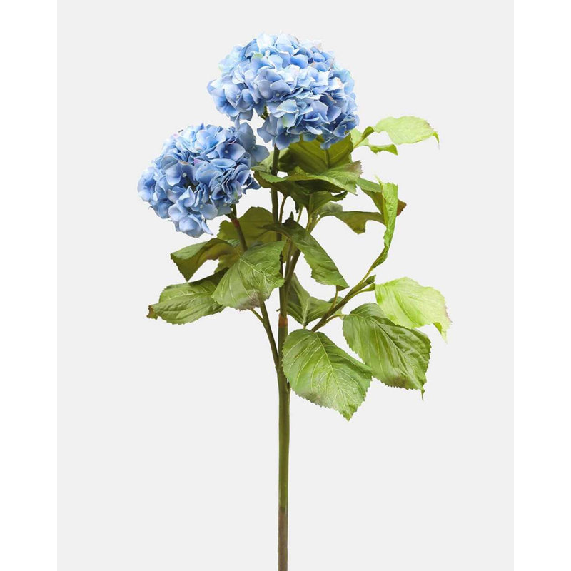 Hortensia double bleu 91 cm, Blue/Purple