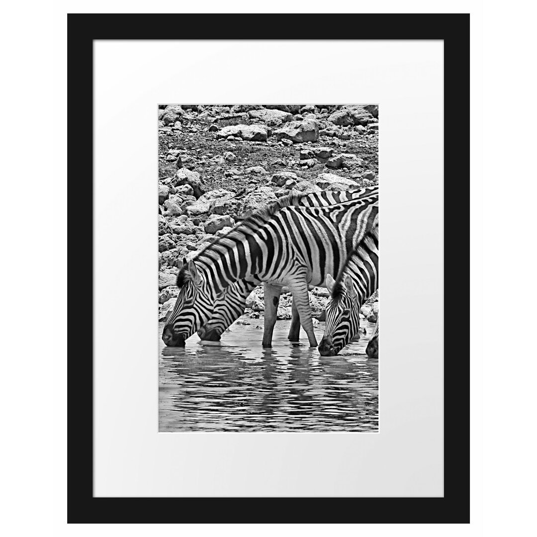 Gerahmtes Poster Zebraherde am Wasserloch